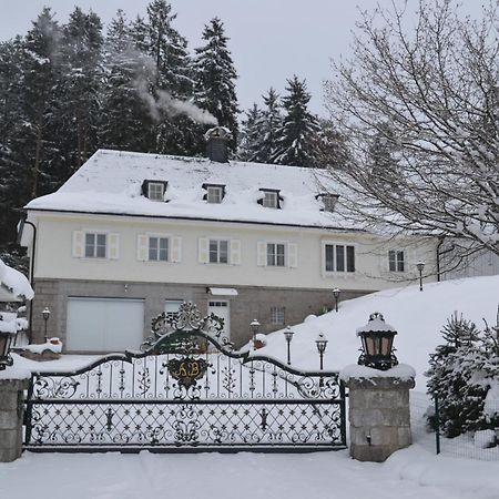 Schwarwald Apartment Шлухзее Экстерьер фото